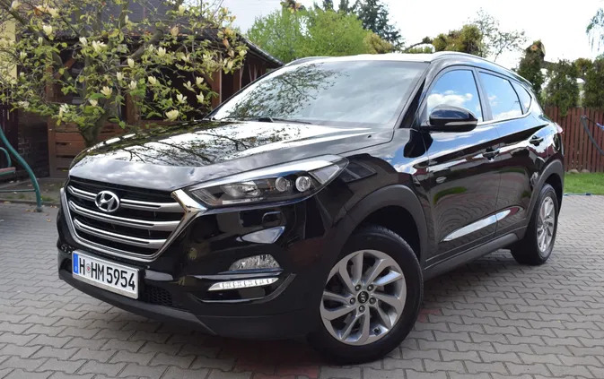 samochody osobowe Hyundai Tucson cena 73900 przebieg: 104000, rok produkcji 2016 z Bełżyce